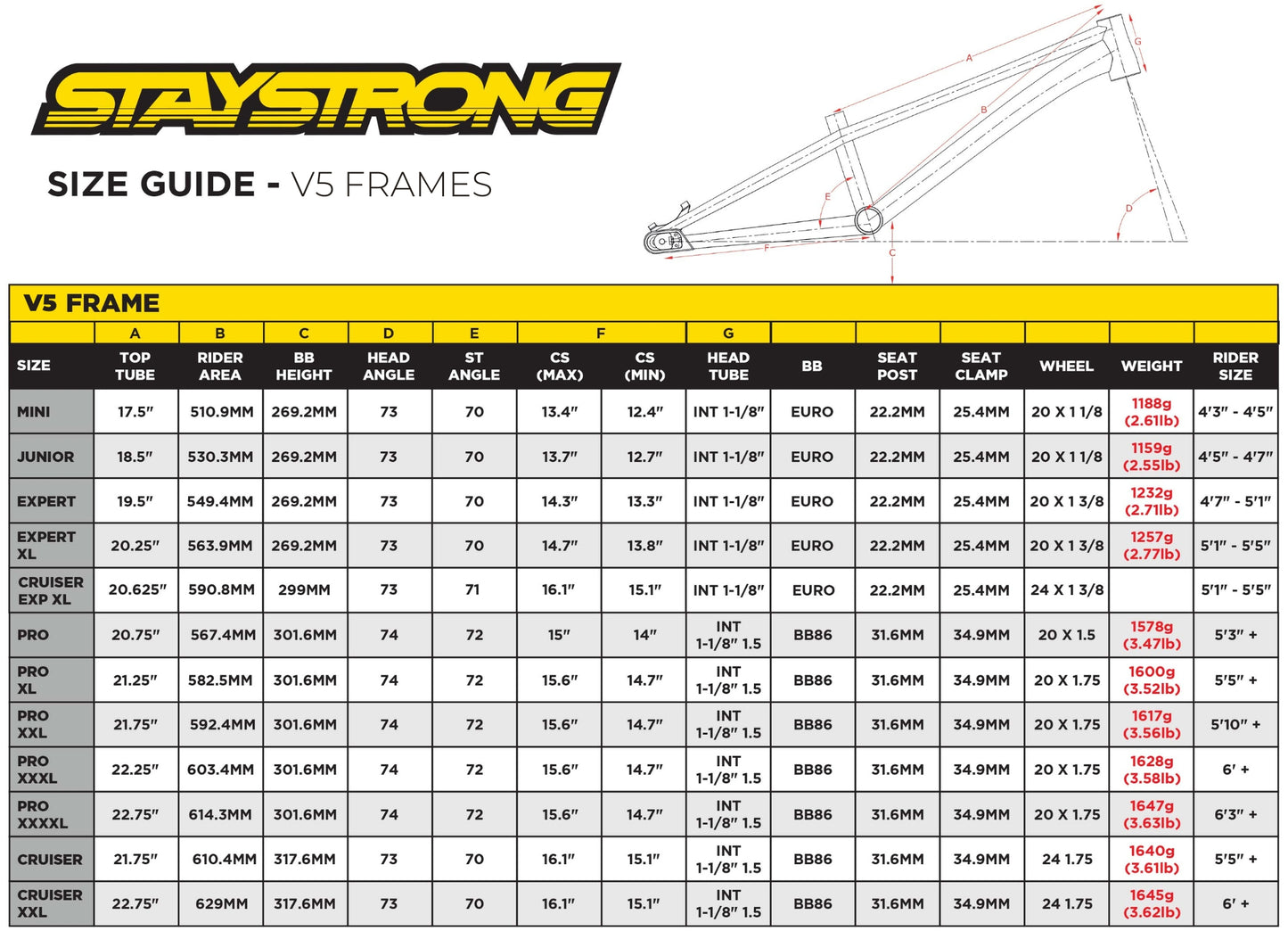 Cadre Stay Strong For Life v5 2025 - Disc - Bleu / Noir