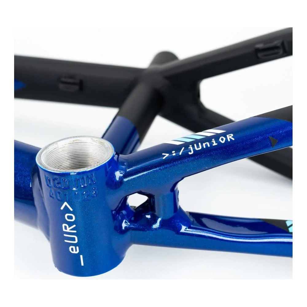 Cadre Stay Strong For Life v5 2025 - Disc - Bleu / Noir