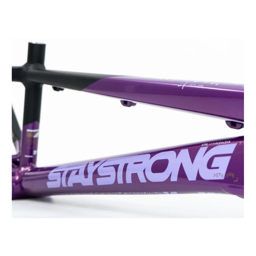 Cadre Stay Strong For Life v5 2025 - Disc - Violet / Noir