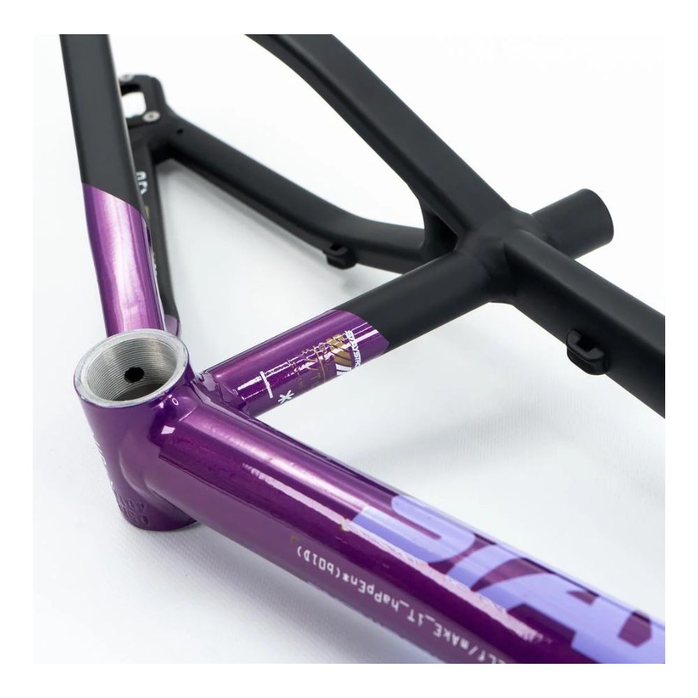 Cadre Stay Strong For Life v5 2025 - Disc - Violet / Noir